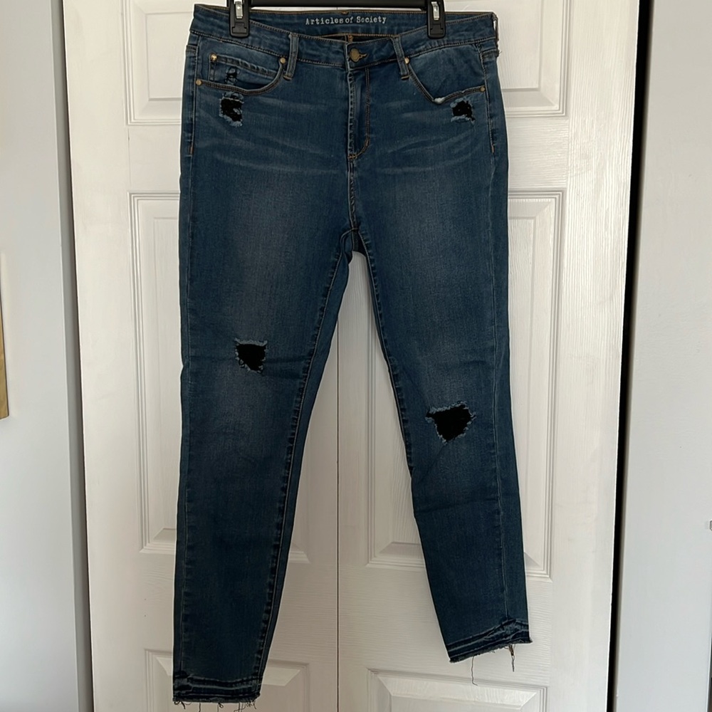Articles of Society Jegging